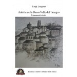 Auletta nella Bassa Valle del Tanagro. Lineamenti storici