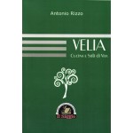 Velia. Cucina e stili di vita Velia. Cucina e stili di vita